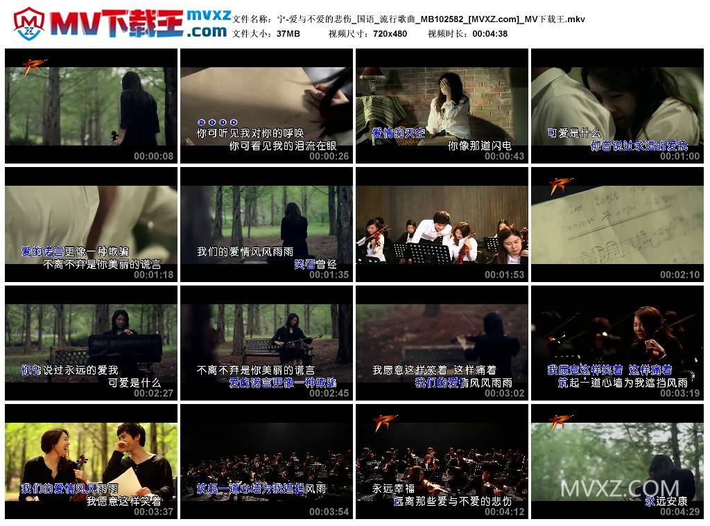 宁-爱与不爱的悲伤_国语_流行歌曲_MB102582